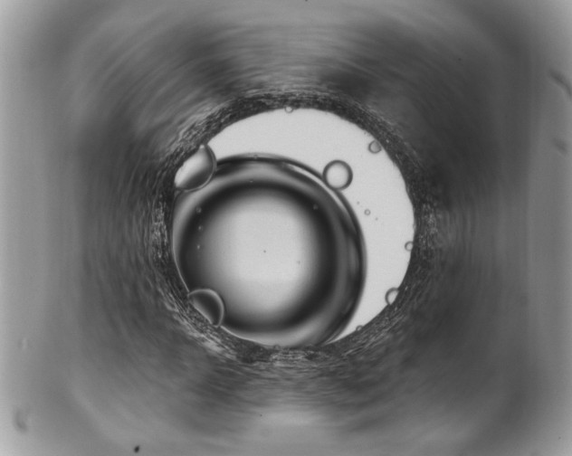 X0000102310918200807251436