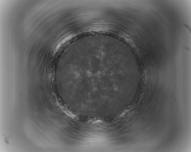 X0000102310920200807251436