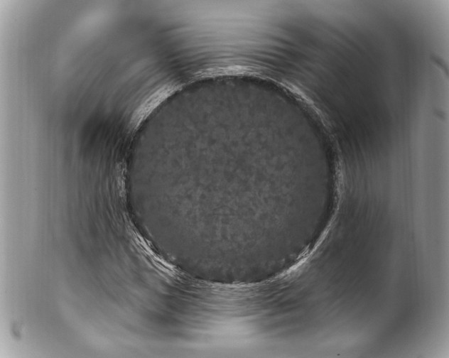 X0000102310921200807251436