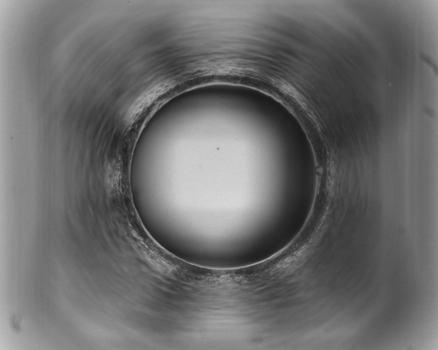 X0000102310922200807251436