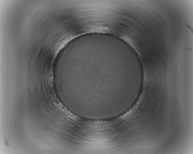 X0000102310923200807251436