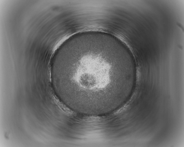 X0000102310925200807251436