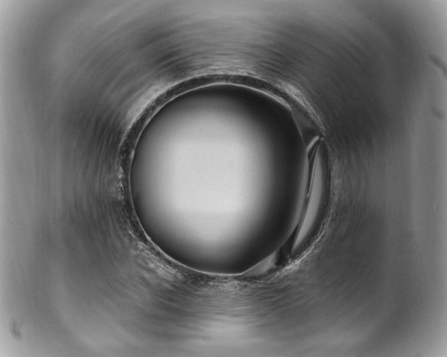 X0000102310926200807251436
