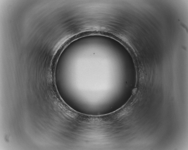 X0000102310927200807251436