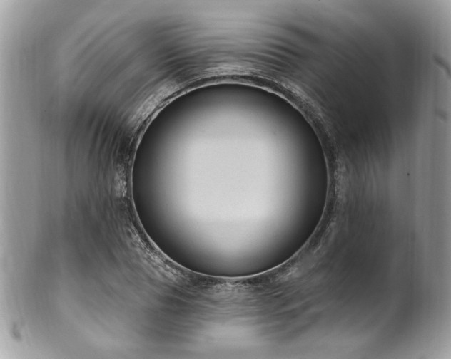X0000102310929200807251436