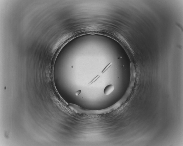 X0000102310930200807251436