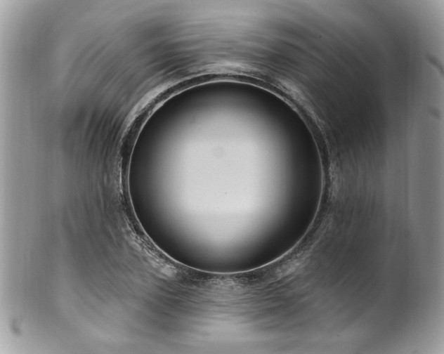 X0000102310931200807251436