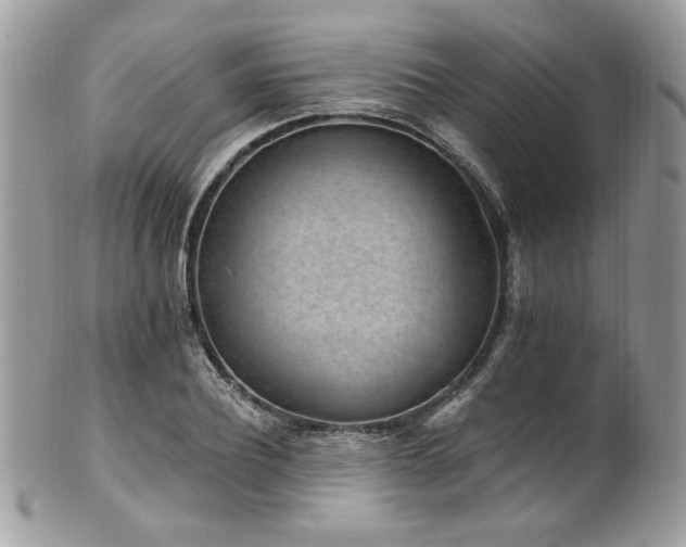 X0000102310932200807251436