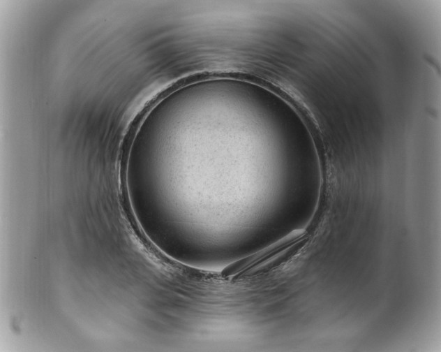 X0000102310935200807251436