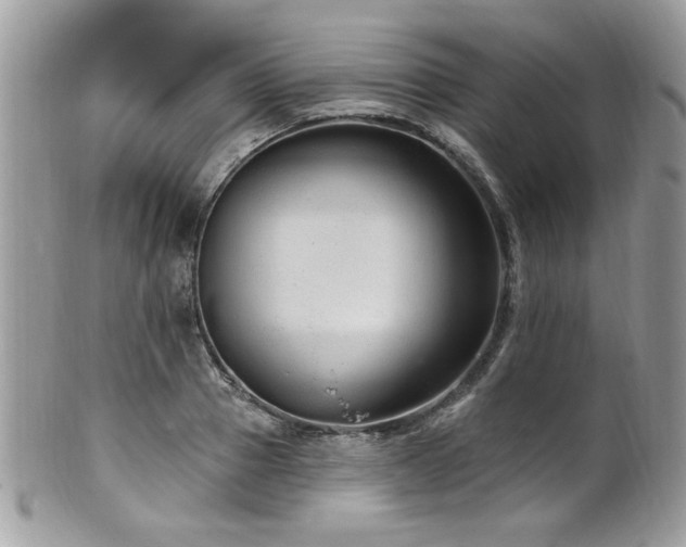 X0000102310937200807251436