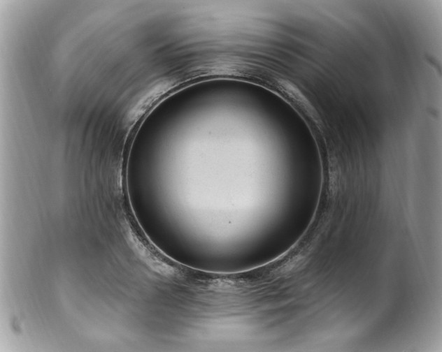 X0000102310938200807251436
