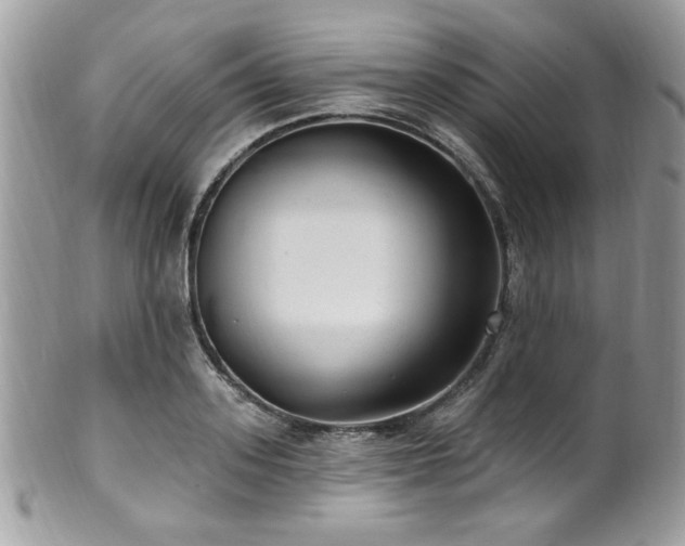 X0000102310939200807251436