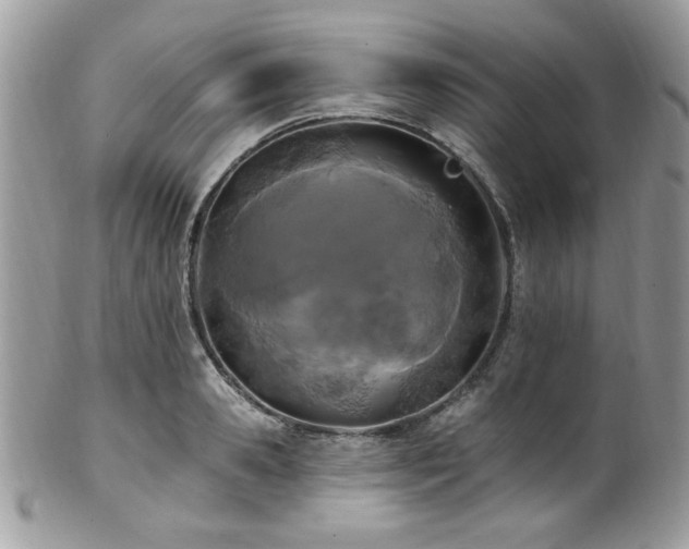X0000102310941200807251436