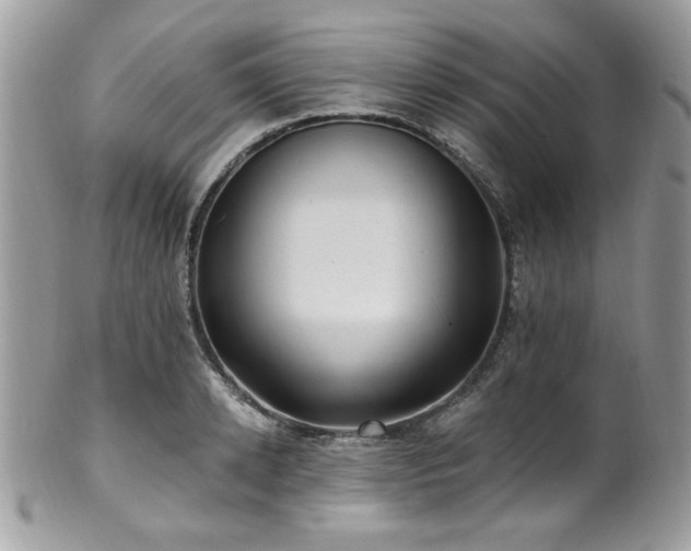X0000102310942200807251436