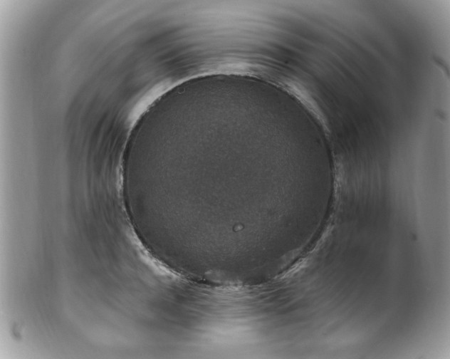 X0000102310944200807251436