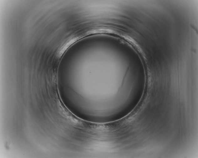 X0000102310945200807251436
