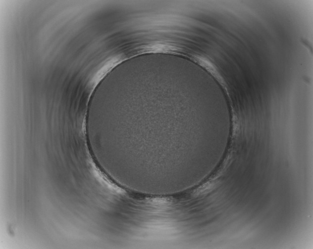 X0000102310946200807251436