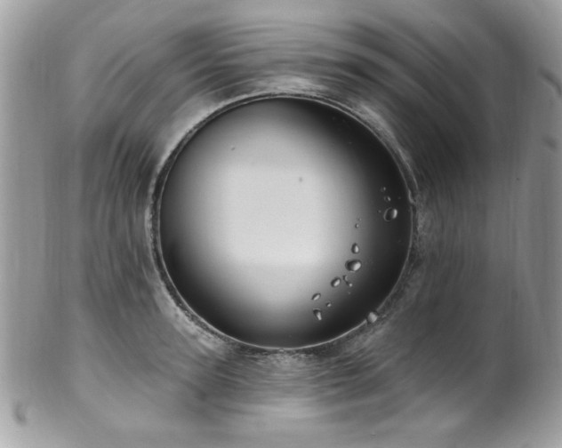 X0000102310947200807251436