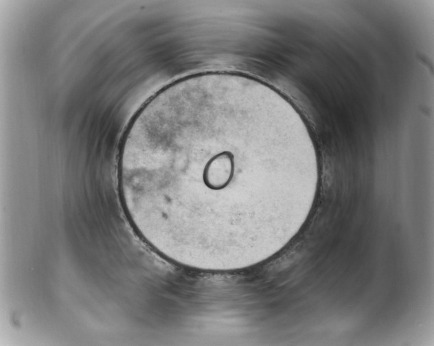 X0000102310950200807251436