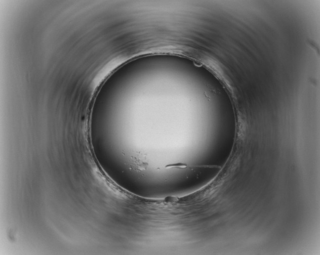 X0000102310952200807251436