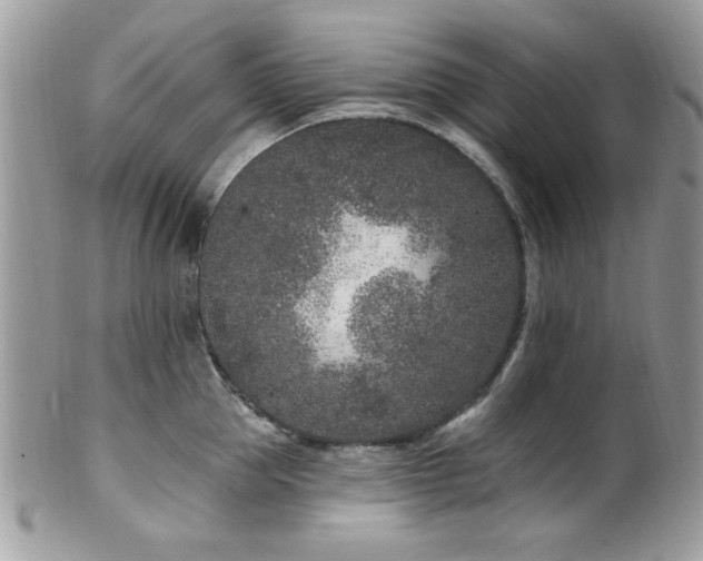 X0000102310953200807251436