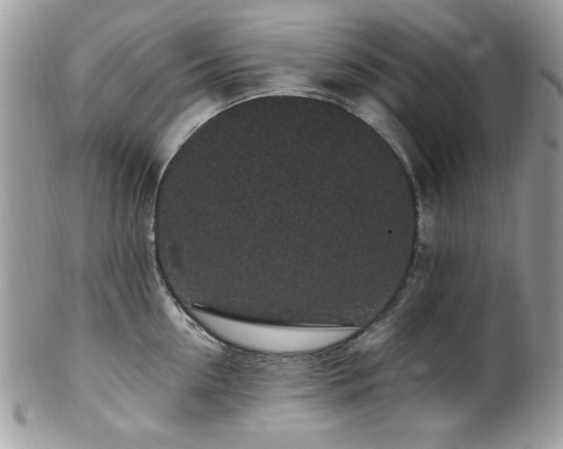 X0000102310954200807251436