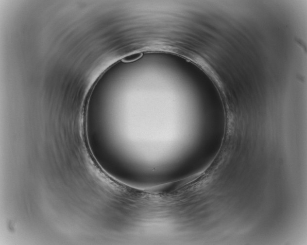 X0000102310955200807251436