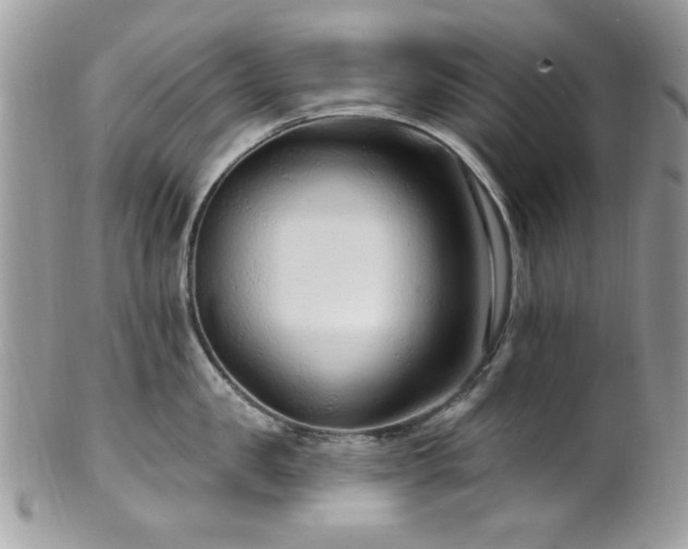 X0000102310957200807251436