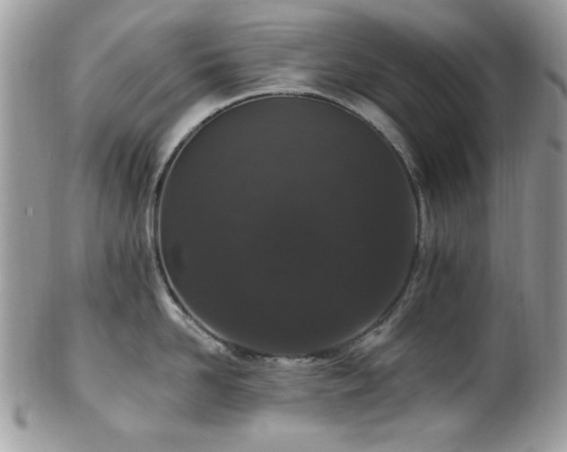 X0000102310958200807251436