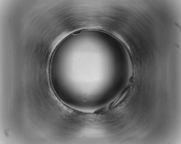 X0000102310959200807251437