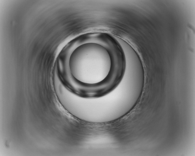 X0000102310960200807251437