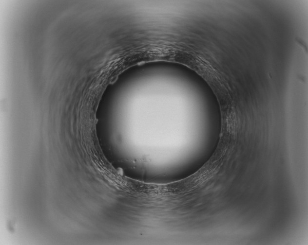 X0000102310961200807251435