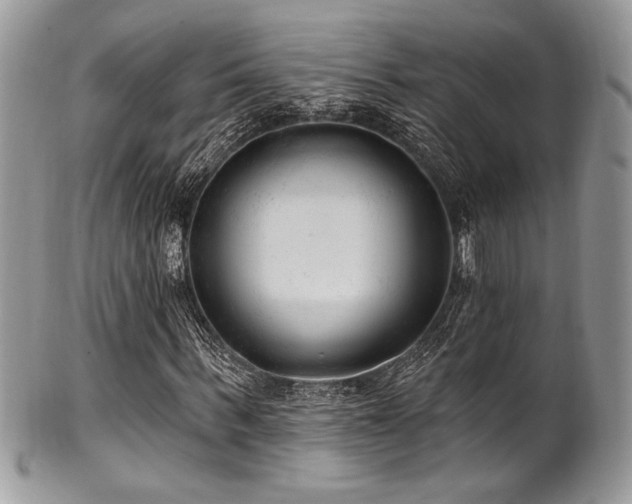 X0000102310963200807251435