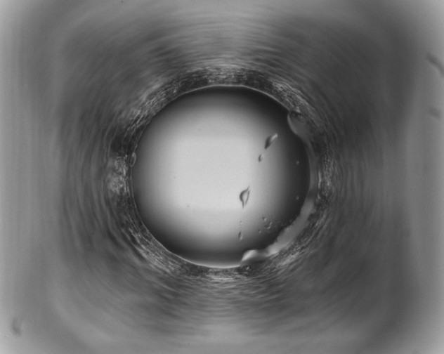 X0000102310964200807251435