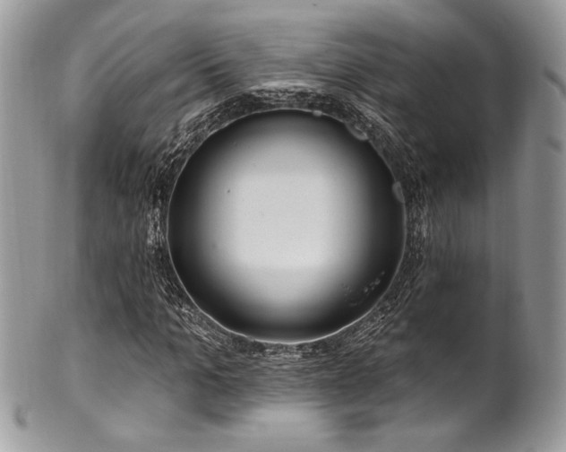 X0000102310965200807251435