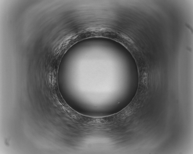 X0000102310966200807251435