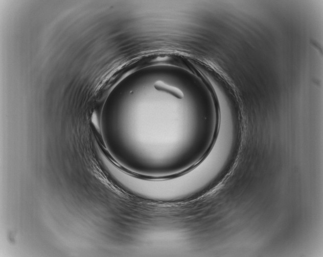 X0000102310969200807251435