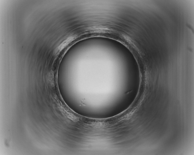 X0000102310970200807251435
