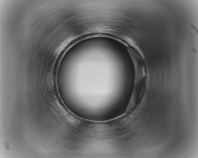X0000102310972200807251435