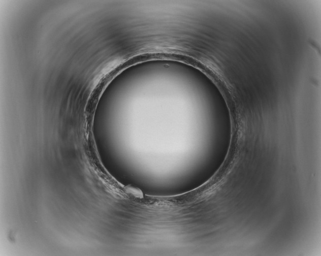 X0000102310974200807251435