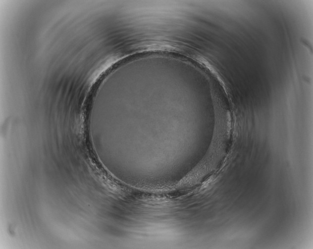 X0000102310975200807251435