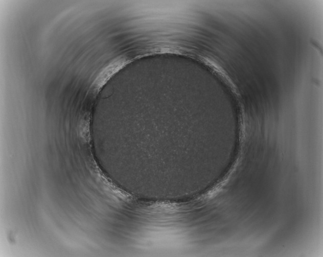 X0000102310977200807251435