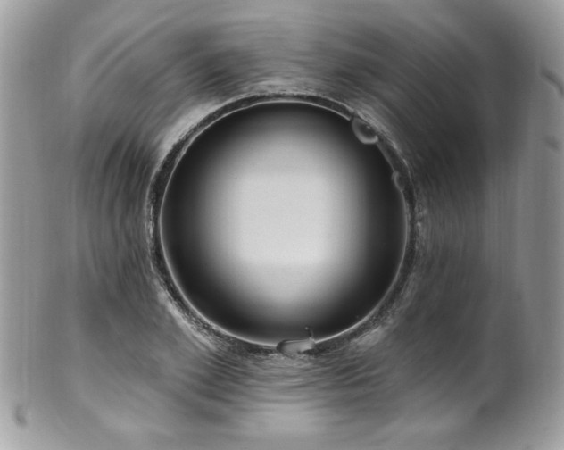 X0000102310981200807251435