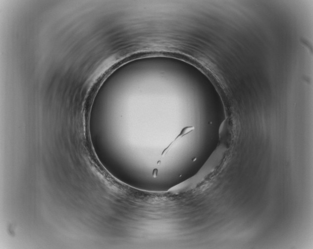 X0000102310982200807251435