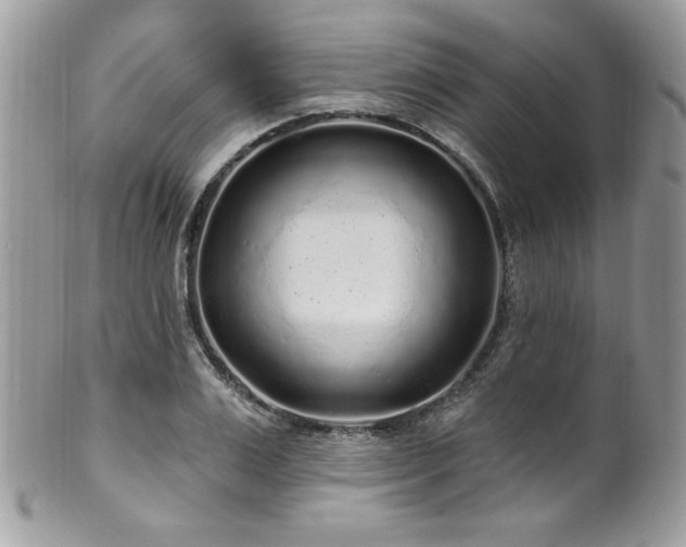 X0000102310983200807251435