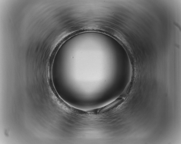X0000102310984200807251435