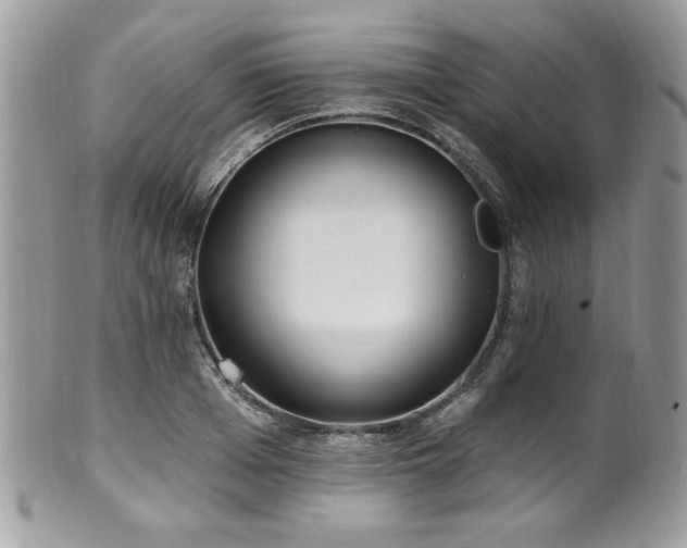 X0000102310985200807251435