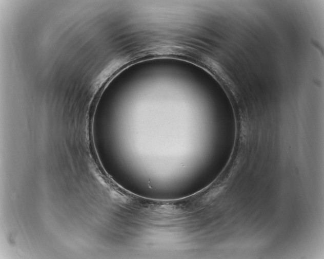X0000102310986200807251435