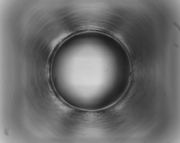 X0000102310987200807251435