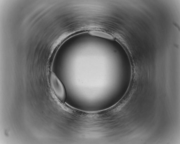 X0000102310989200807251435